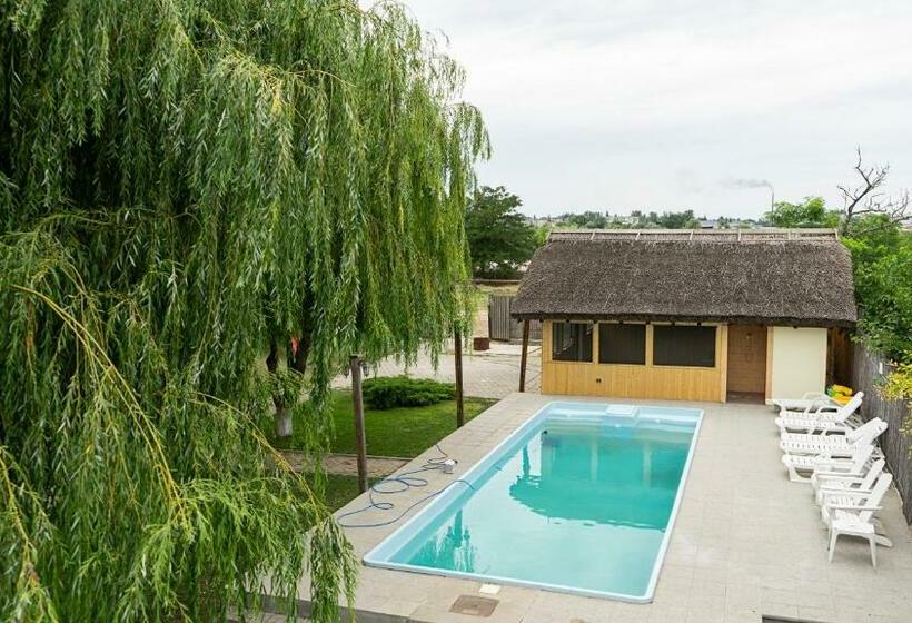 펜션 Califarul Alb