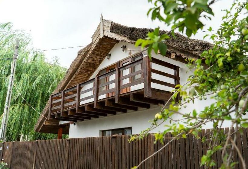 펜션 Califarul Alb