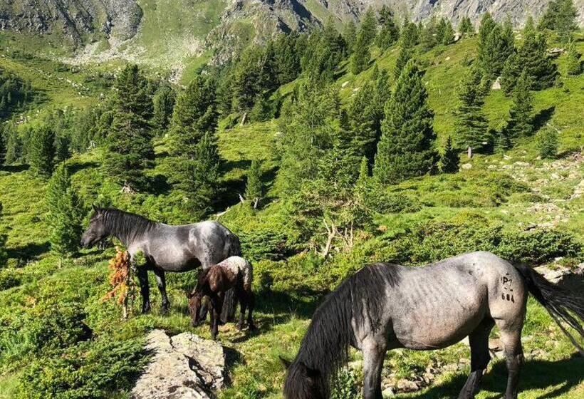 Пансион Feielhof