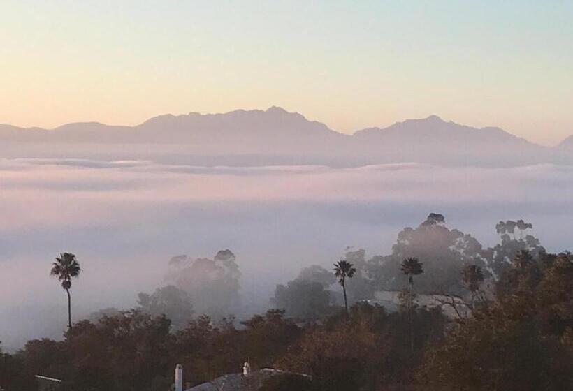 بنسيون La Liberté Freedom To Be