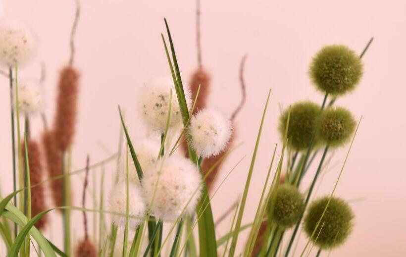 بنسيون La Maison Vintage