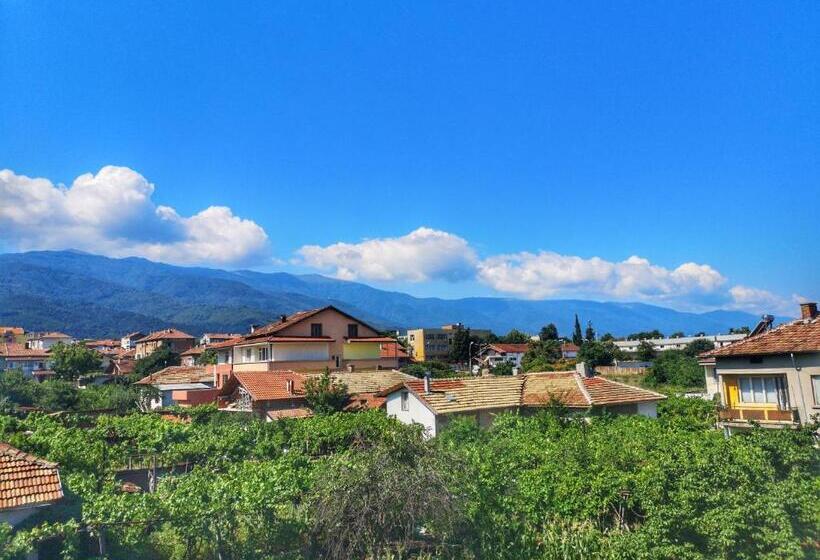 膳宿费 Merilyn Petrich