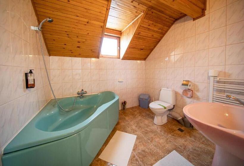 بنسيون Poiana Cristian