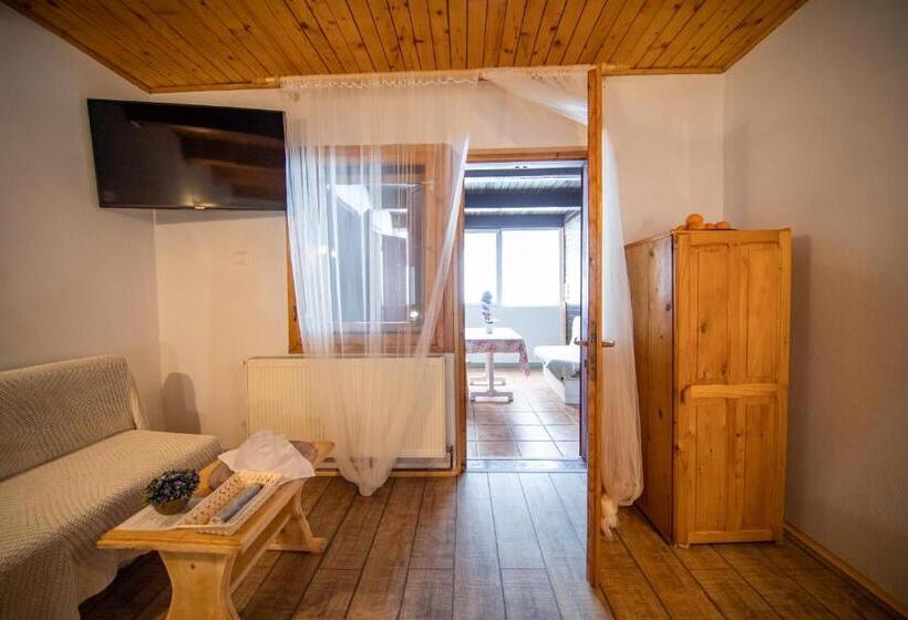 بنسيون Poiana Cristian