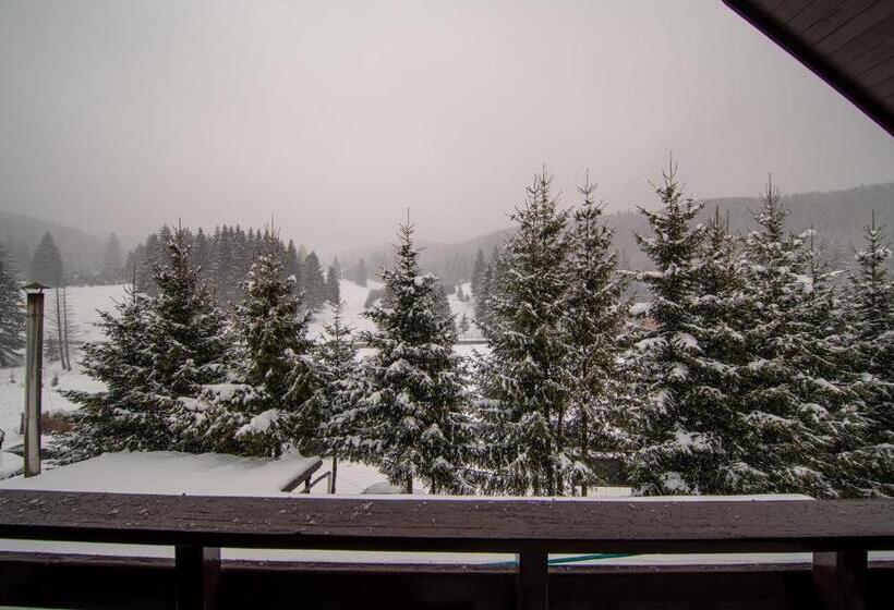 بنسيون Poiana Cristian