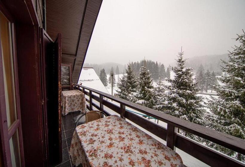 بنسيون Poiana Cristian