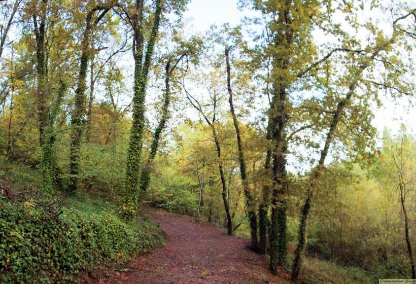 ペンション Quinta Mata Da Sé