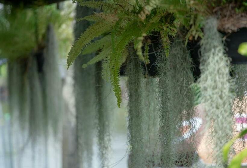 פנסיון Reuan Vilawan