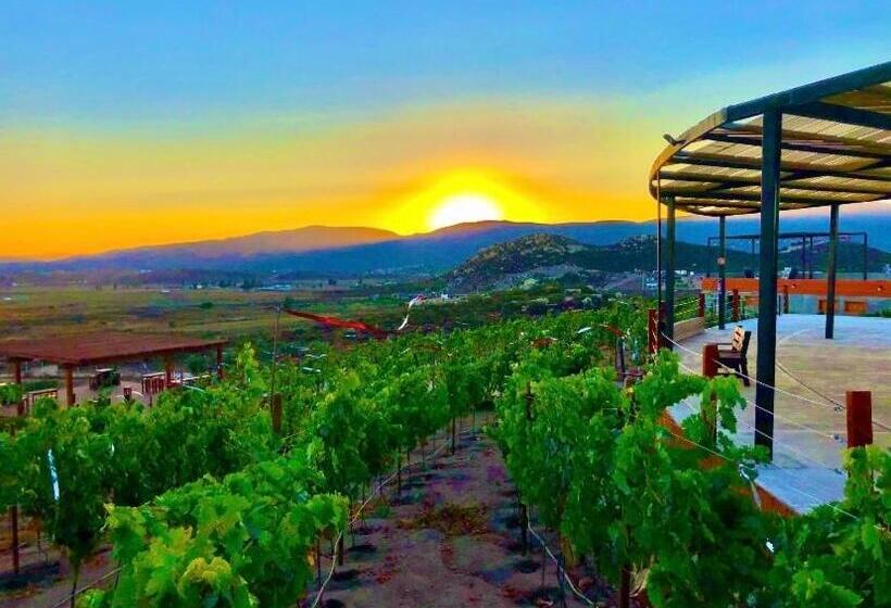 Пансион Siempre Valle Hotel Boutique