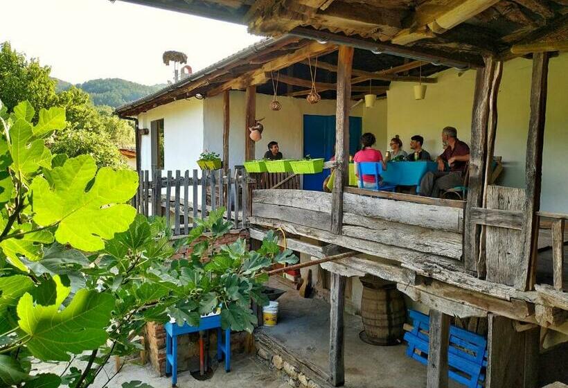 بنسيون The Old Nest