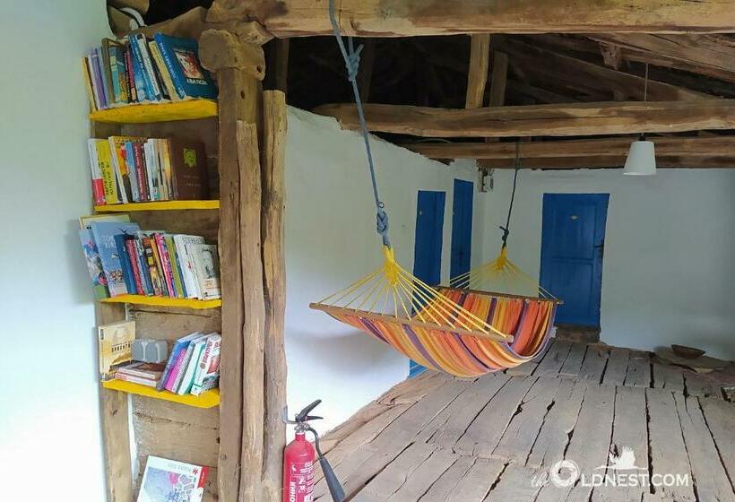 بنسيون The Old Nest