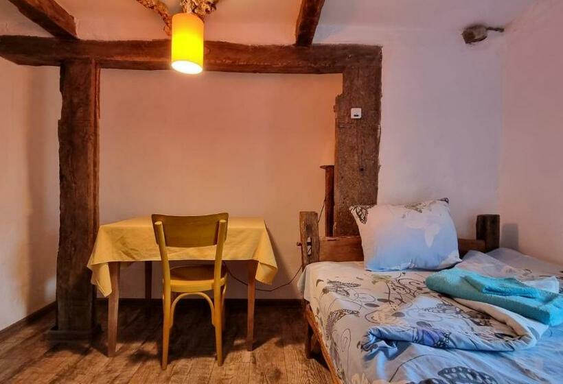 بنسيون The Old Nest