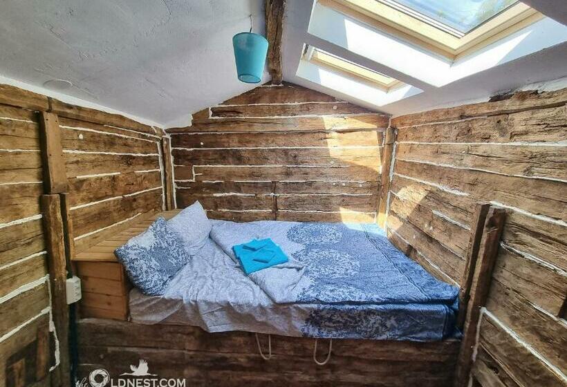 بنسيون The Old Nest