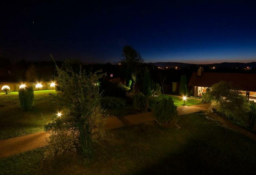 بنسيون Vila Transylvania