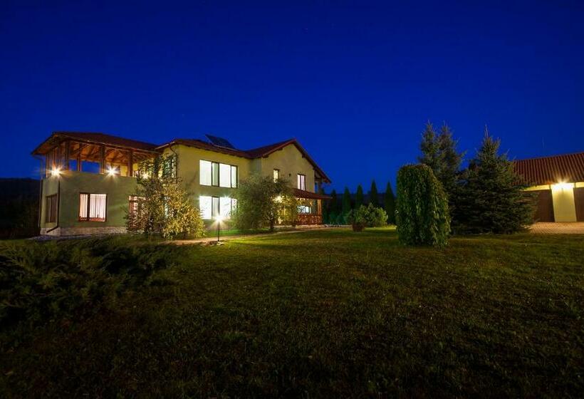 Пансион Vila Transylvania