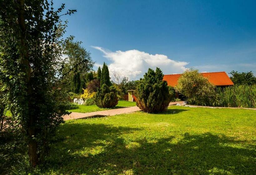 Пансион Vila Transylvania