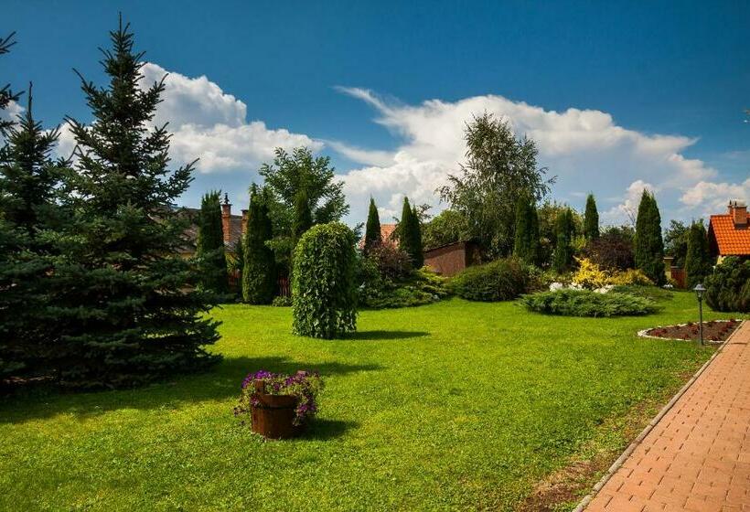 بنسيون Vila Transylvania