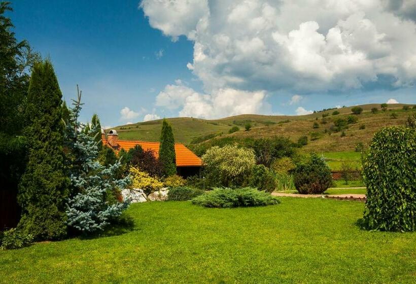 פנסיון Vila Transylvania