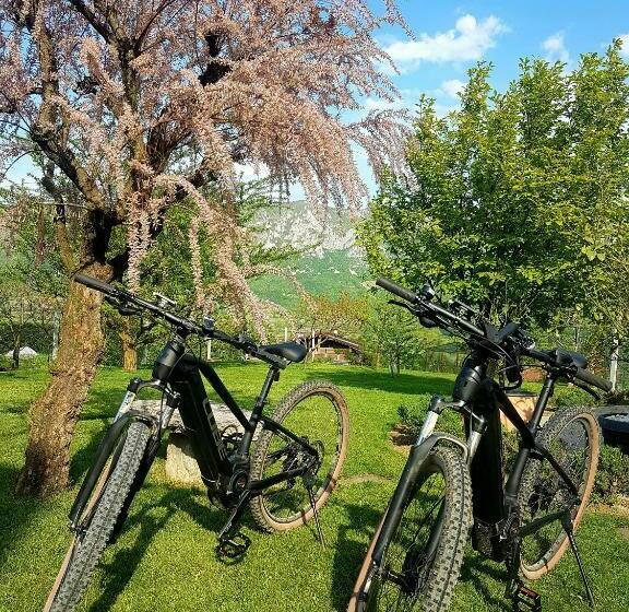 پانسیون Wine Cellar Room