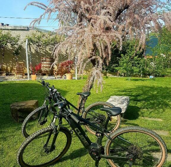 پانسیون Wine Cellar Room
