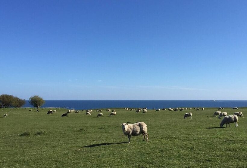 Общежитие Kåseberga Hideout