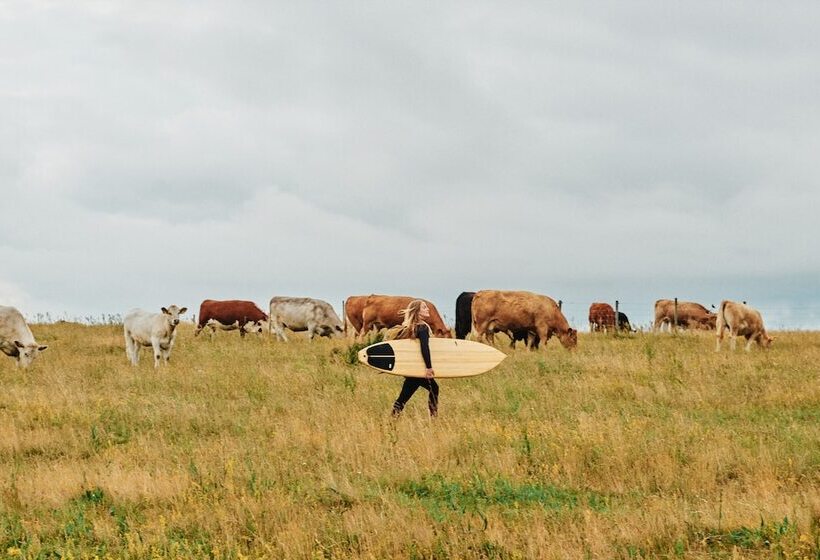 Общежитие Kåseberga Hideout