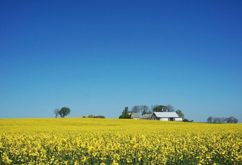 Общежитие Kåseberga Hideout