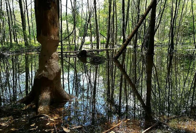 فندق صغير La Bourgseigneurie