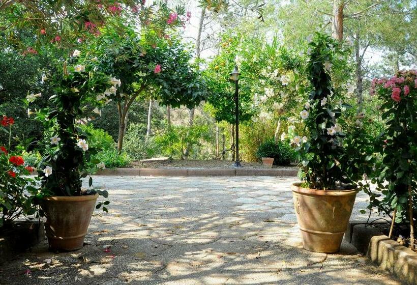 B&b Villa Bentivoglio