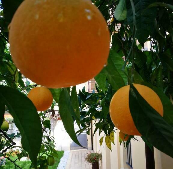 住宿加早餐  Al Chiaro Di Luna