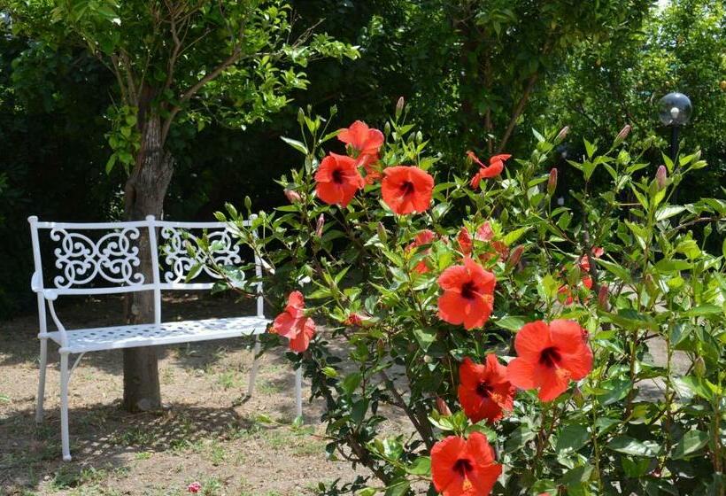 مبيت وإفطار Baia Della Serenità