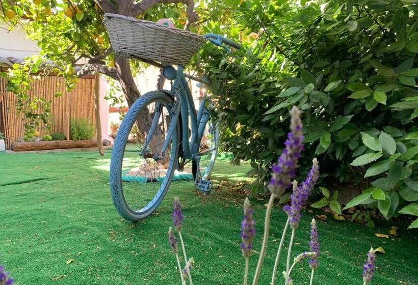 مبيت وإفطار Bnb Le Janas