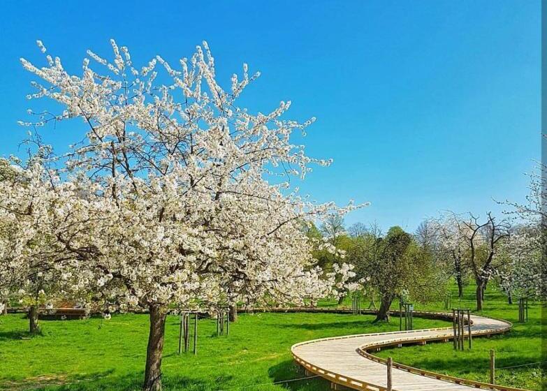 مبيت وإفطار Boerderaaj