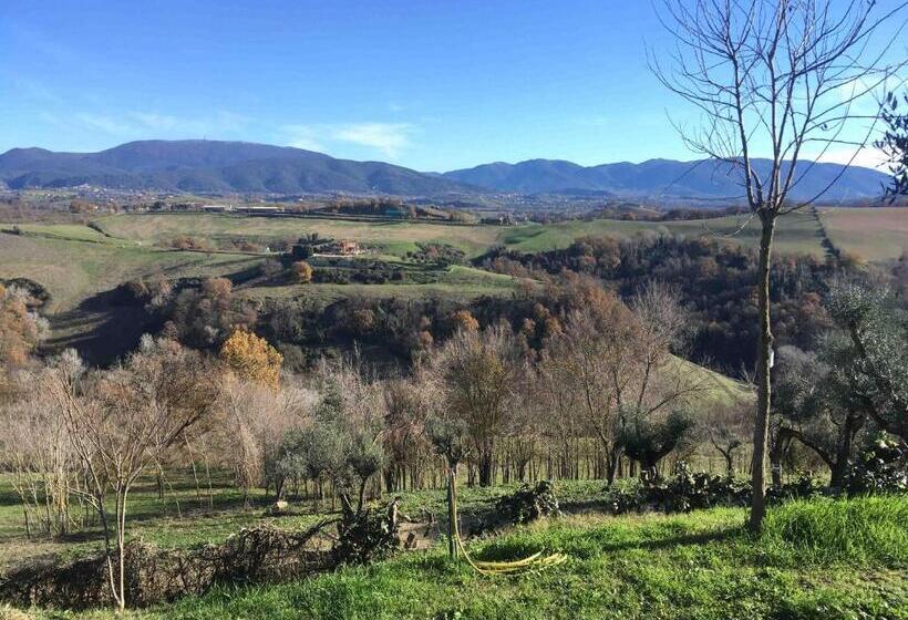 مبيت وإفطار Corte Buenavista