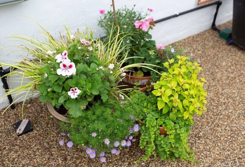 مبيت وإفطار Guest Suite At 31 Little England