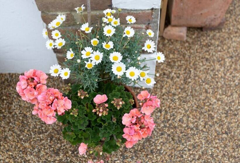 مبيت وإفطار Guest Suite At 31 Little England