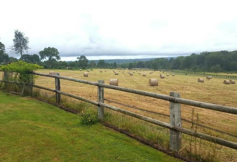 민박 L Herbe Aux Vaches