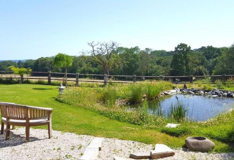 Bed and Breakfast L Herbe Aux Vaches