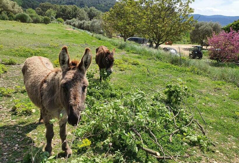 مبيت وإفطار Locations Insolites Vie En Plein Air Cabane Et Tipi Bastide Bellugue Maison D Hôtes Reseau Bienvenue