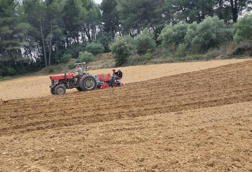 مبيت وإفطار Locations Insolites Vie En Plein Air Cabane Et Tipi Bastide Bellugue Maison D Hôtes Reseau Bienvenue