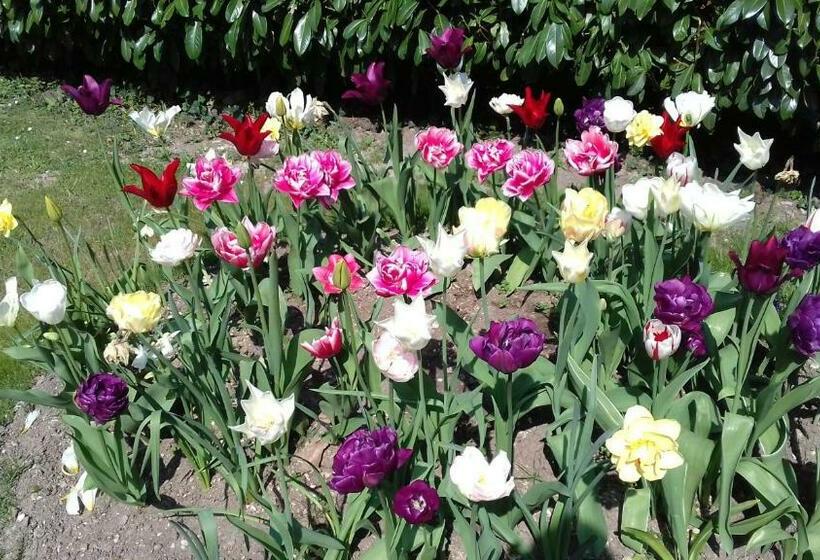 住宿加早餐  à L Orée Du Bois