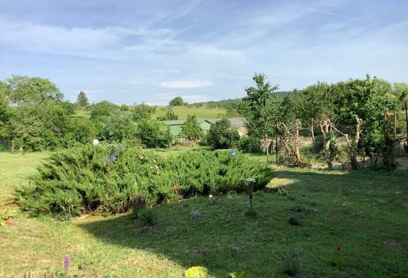 La Maison Du Notaire B&b En Gîte La Belle Rose, Met Zwembad En Huisdier Vriendelijk