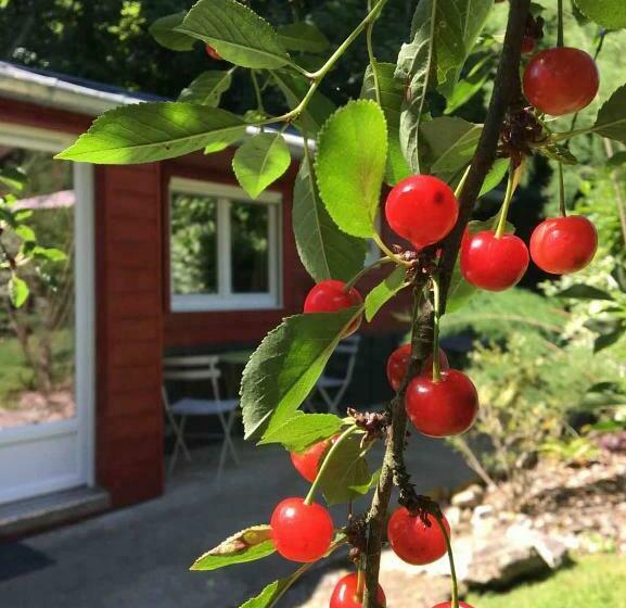 تختخواب و صبحانه Le Cabanon De Chessy