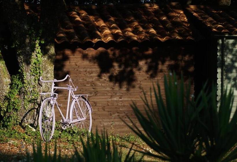 مبيت وإفطار Les Néfliers Chambre D Hôtes