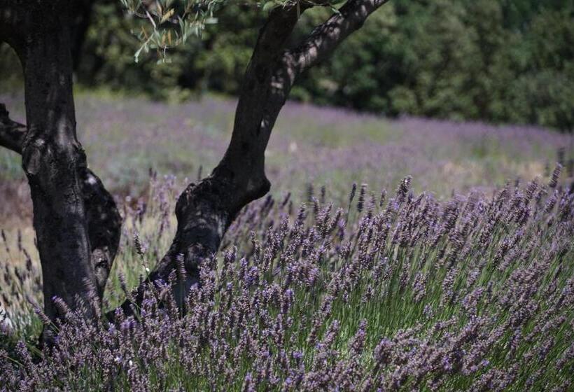 مبيت وإفطار Les Néfliers Chambre D Hôtes