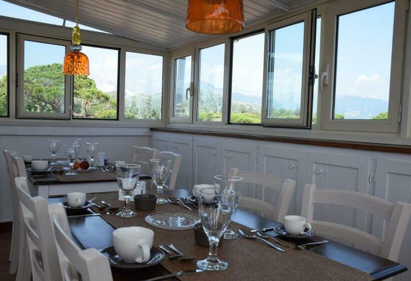 住宿加早餐  Levante