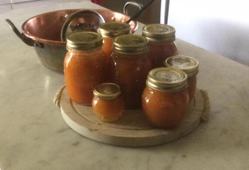 住宿加早餐  Mirabilia