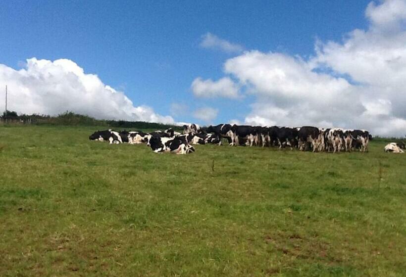 צימר North Hollacombe Farm