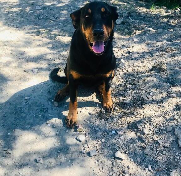 مبيت وإفطار Locations Insolites Vie En Plein Air Cabane Et Tipi Bastide Bellugue Maison D Hôtes Reseau Bienvenue