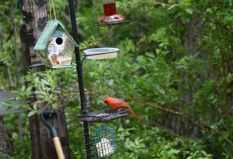 مبيت وإفطار Pinery Bijou Suite